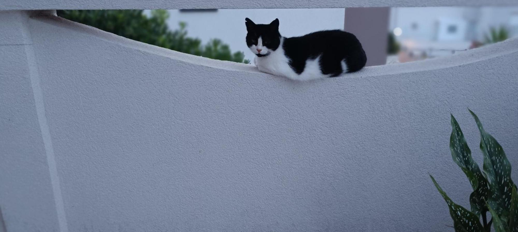 Apartmani Kunteja Pag Town Exteriér fotografie